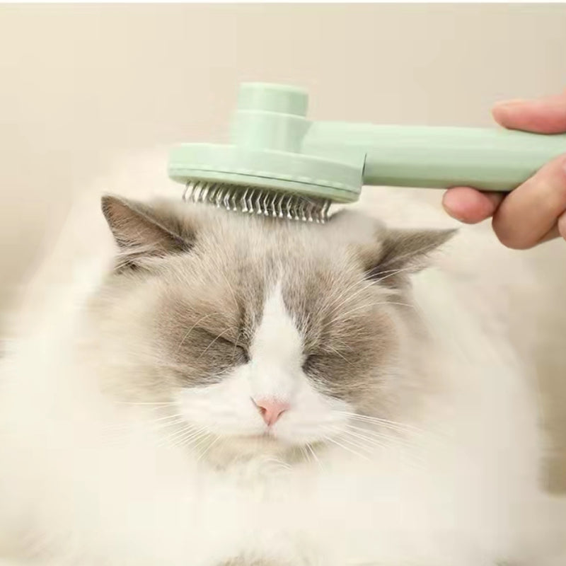 Cepillo autolimpiante para gatos Mewnova